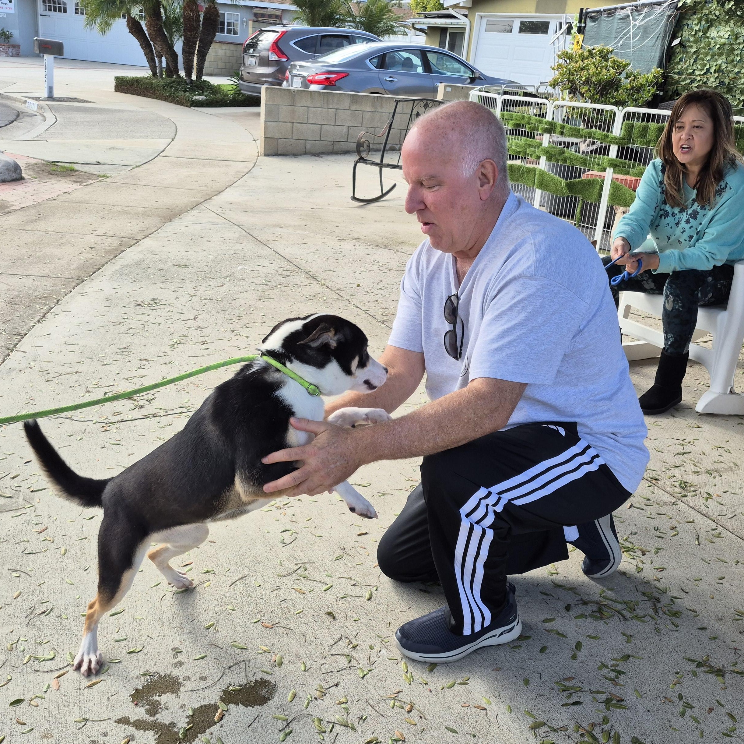 Cool Kelly Kelpie!! thumbnail 4