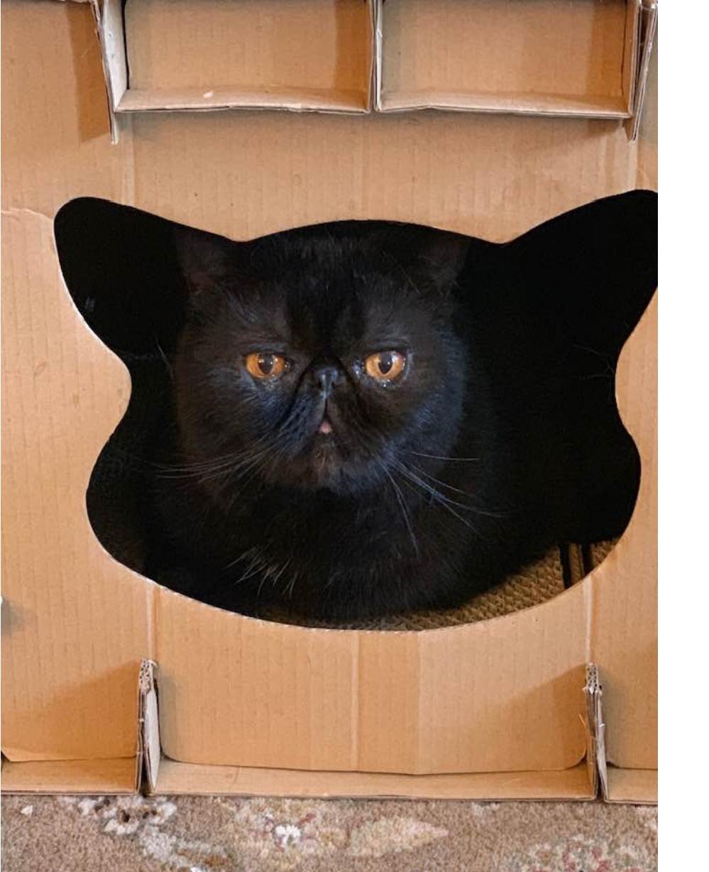 Oliver
