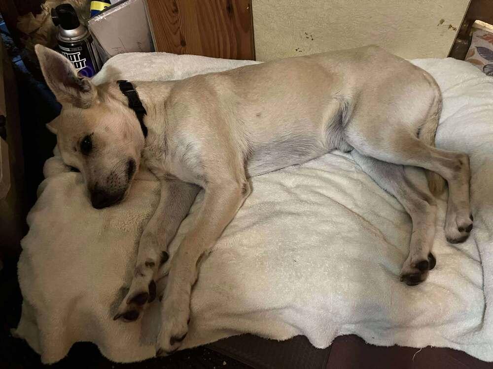 Ryan — thumbnail 2