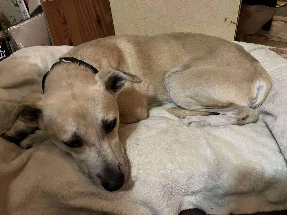 Ryan — thumbnail 3