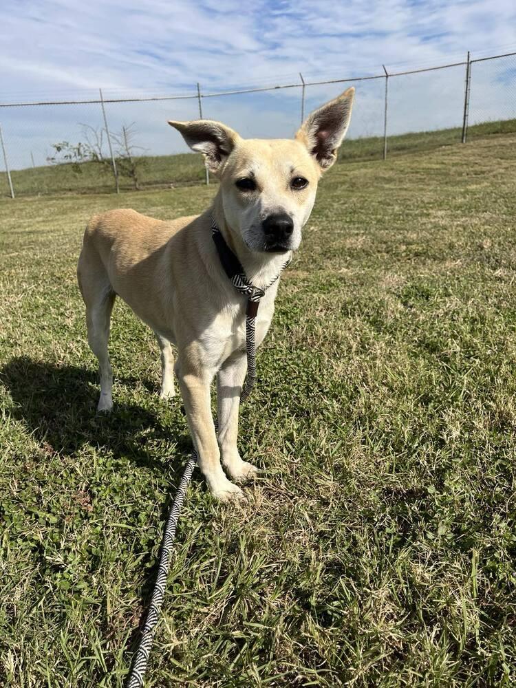 Ryan — thumbnail 4