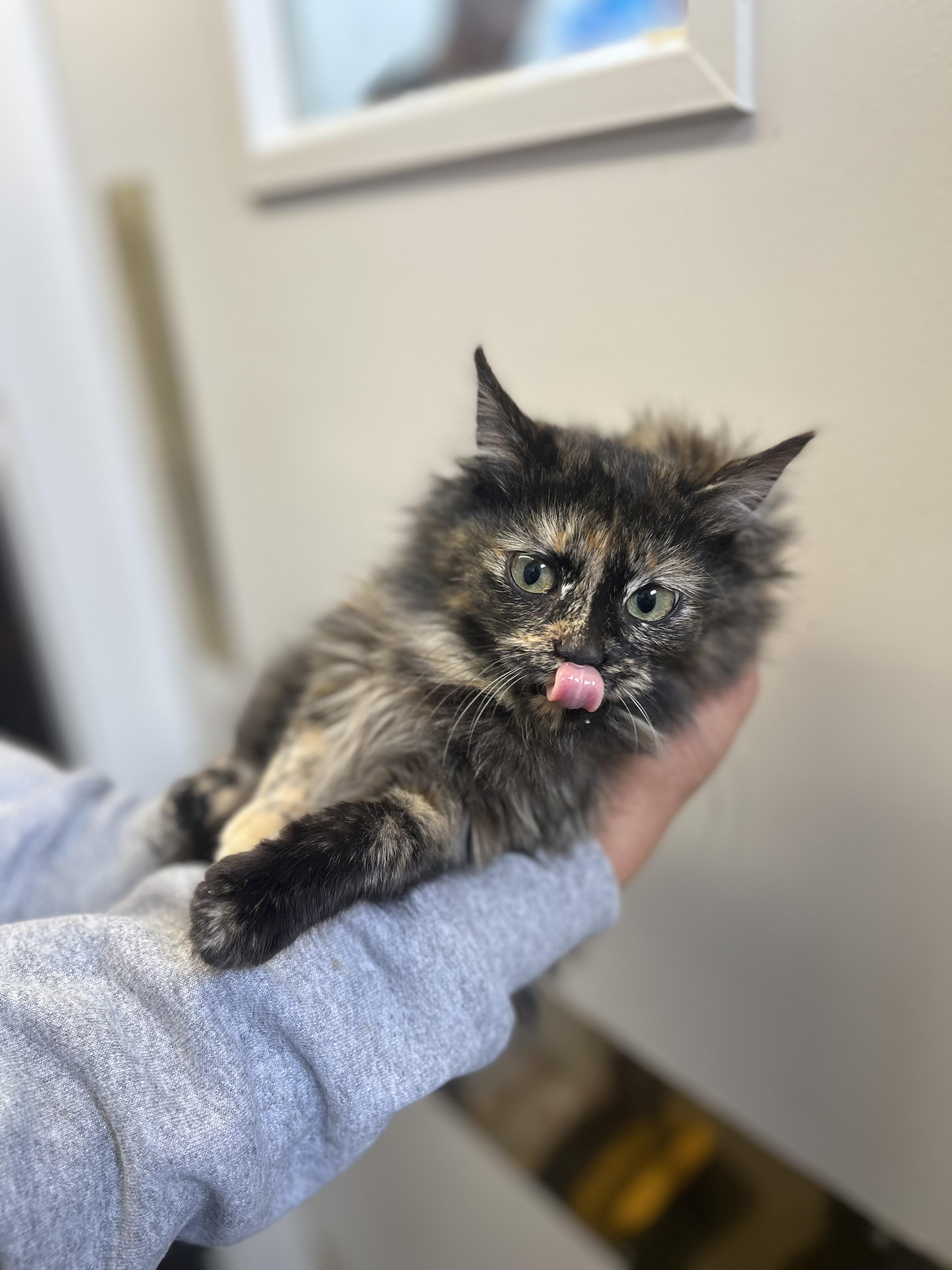 Stormy 0225 — thumbnail 3