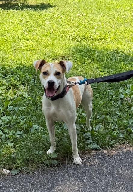 Marshmello thumbnail 2