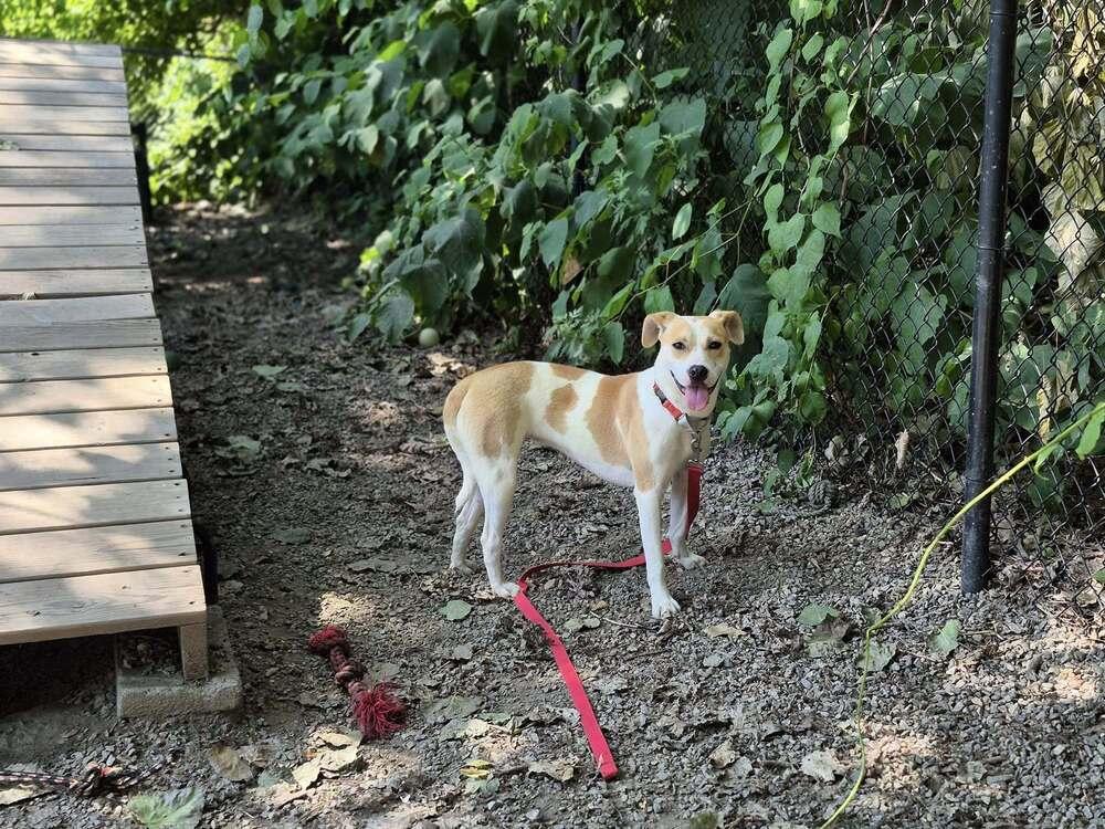 Marshmello thumbnail 6