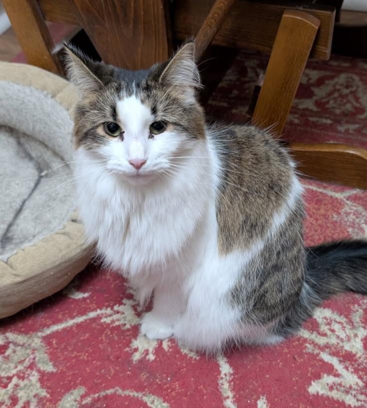 Wendy 2 yrs