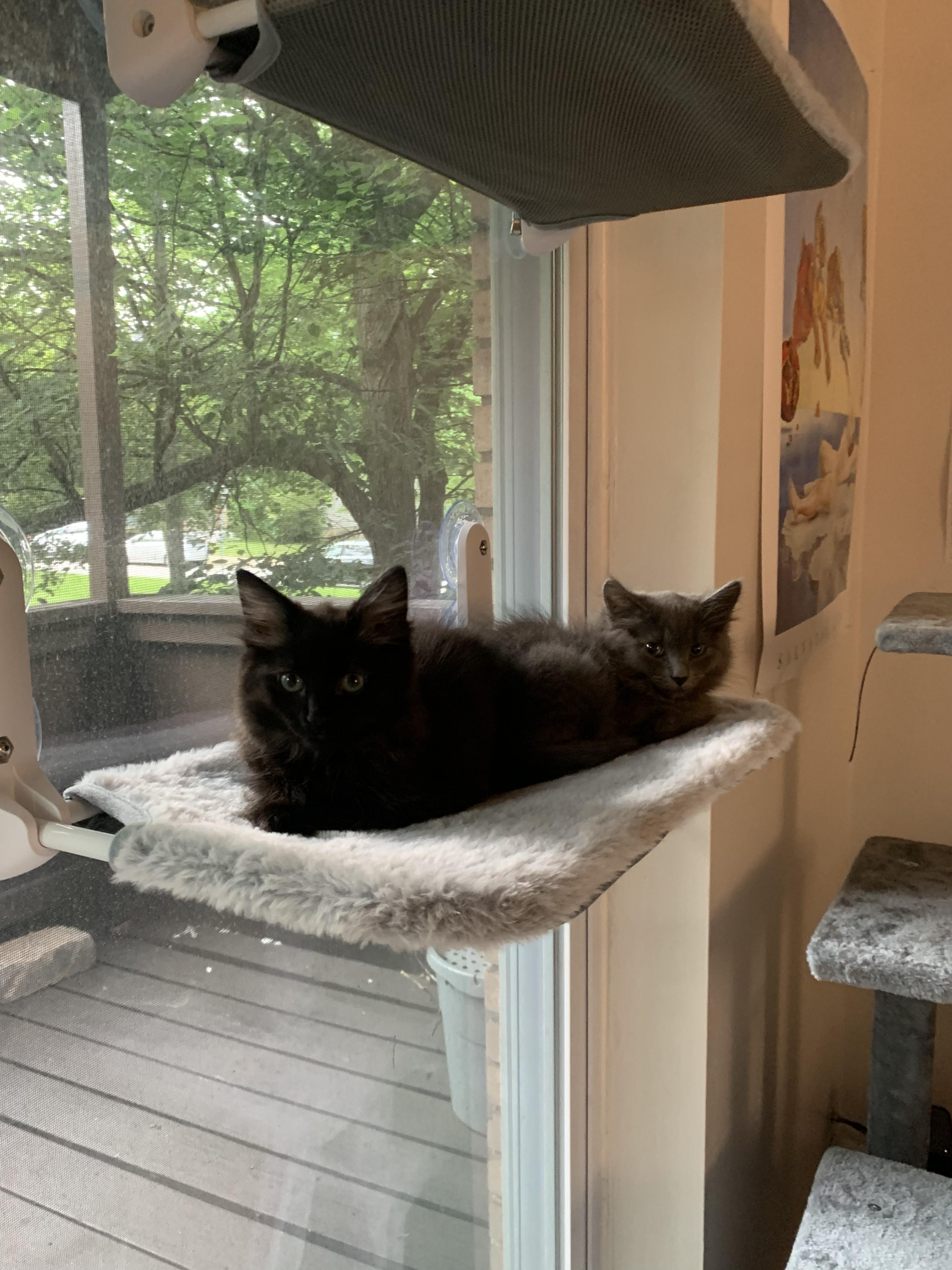 Cobweb & Cinderblock photo 4