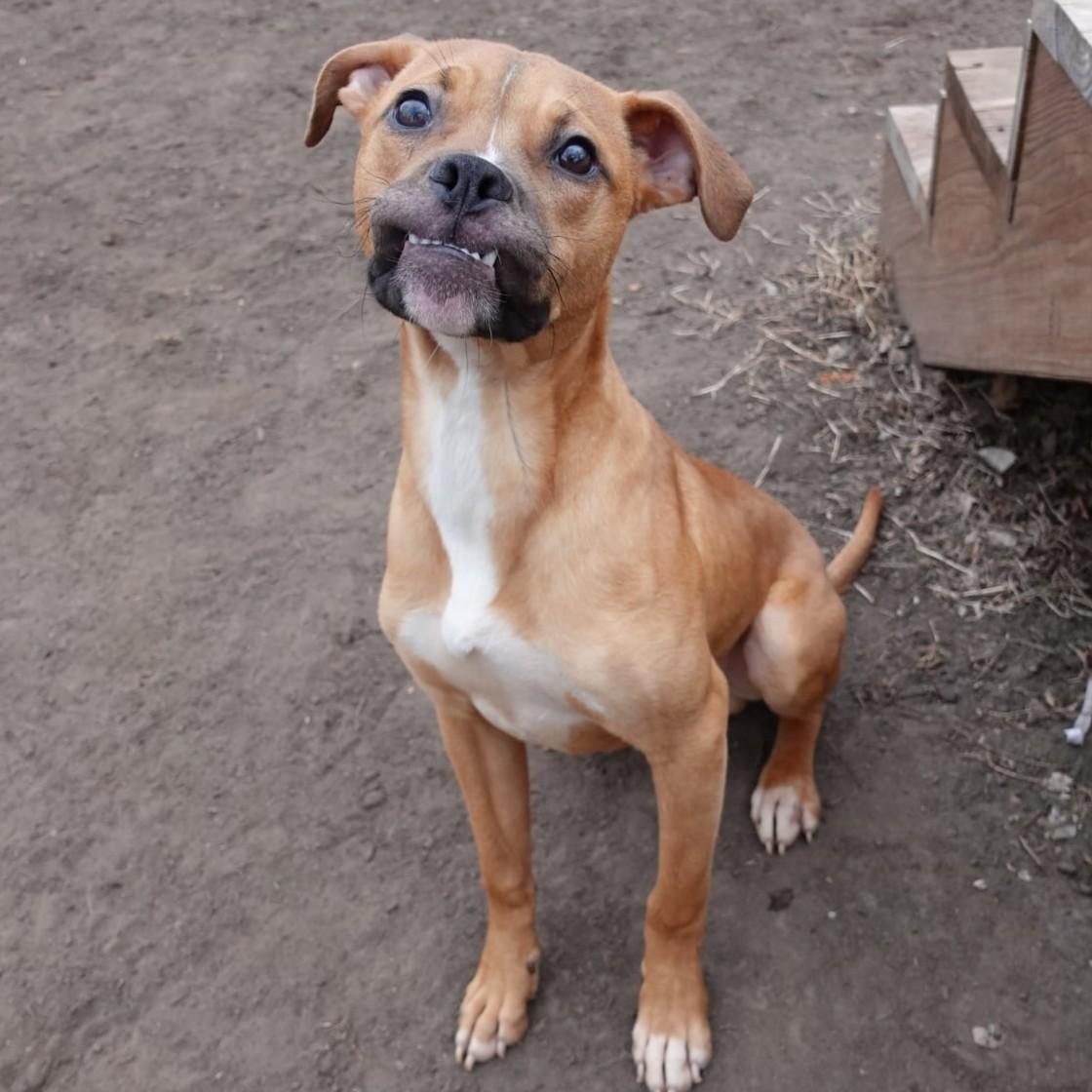 Timmy Toofers