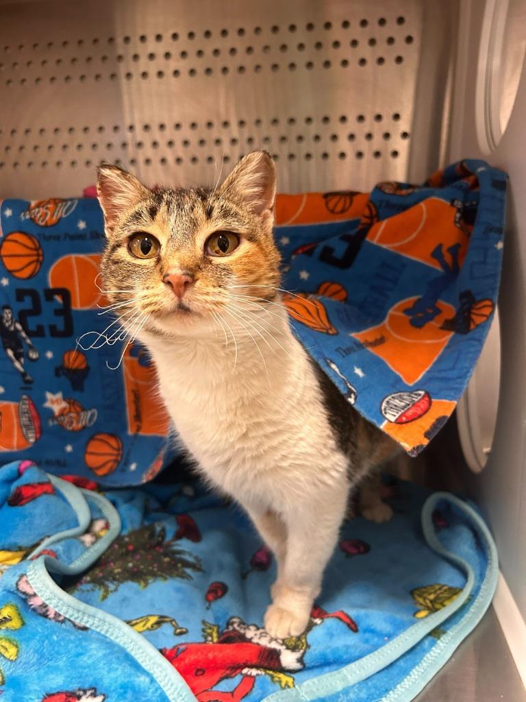 Anna — thumbnail 2