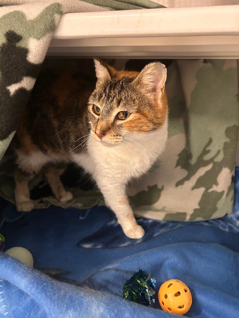 Anna — thumbnail 3