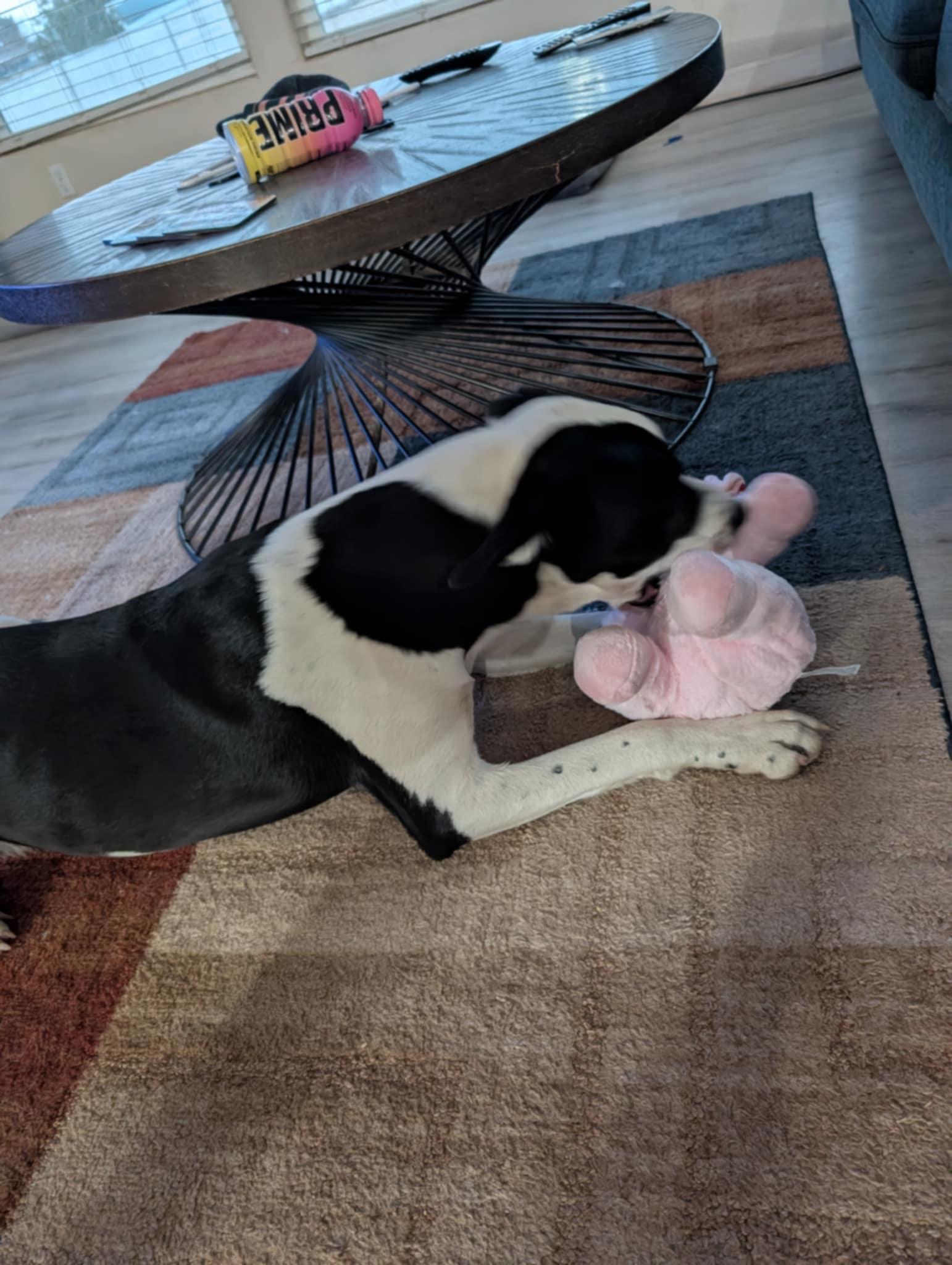 Luna