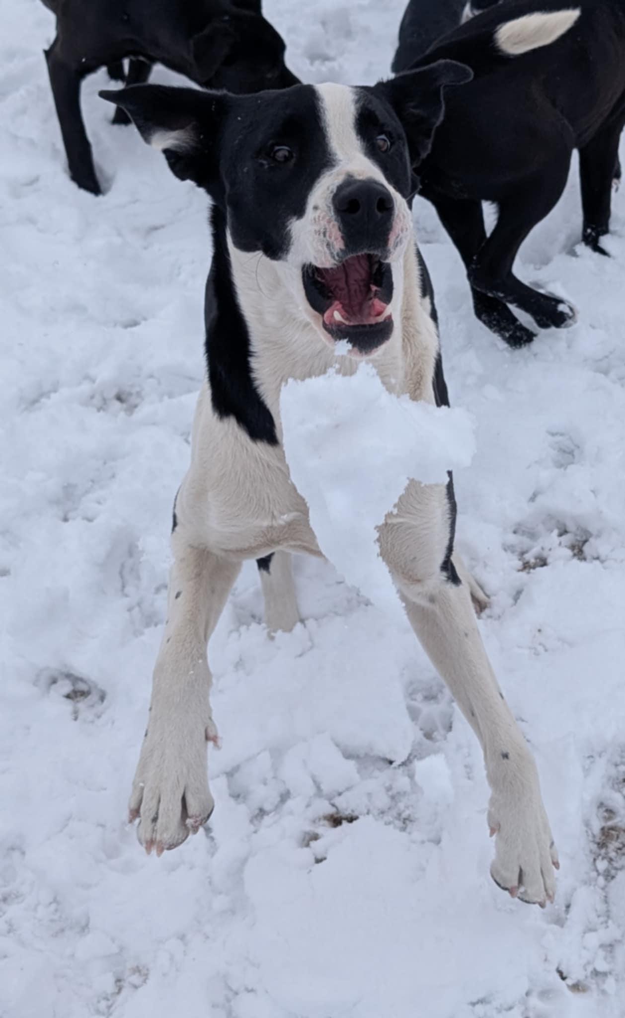 Luna photo 2