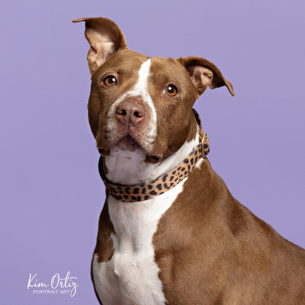 Princess Cheese Puff — thumbnail 4