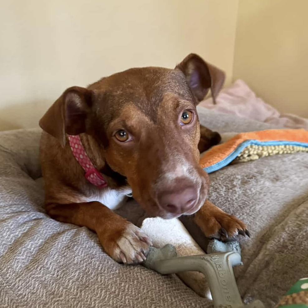 Tie Dye — thumbnail 2