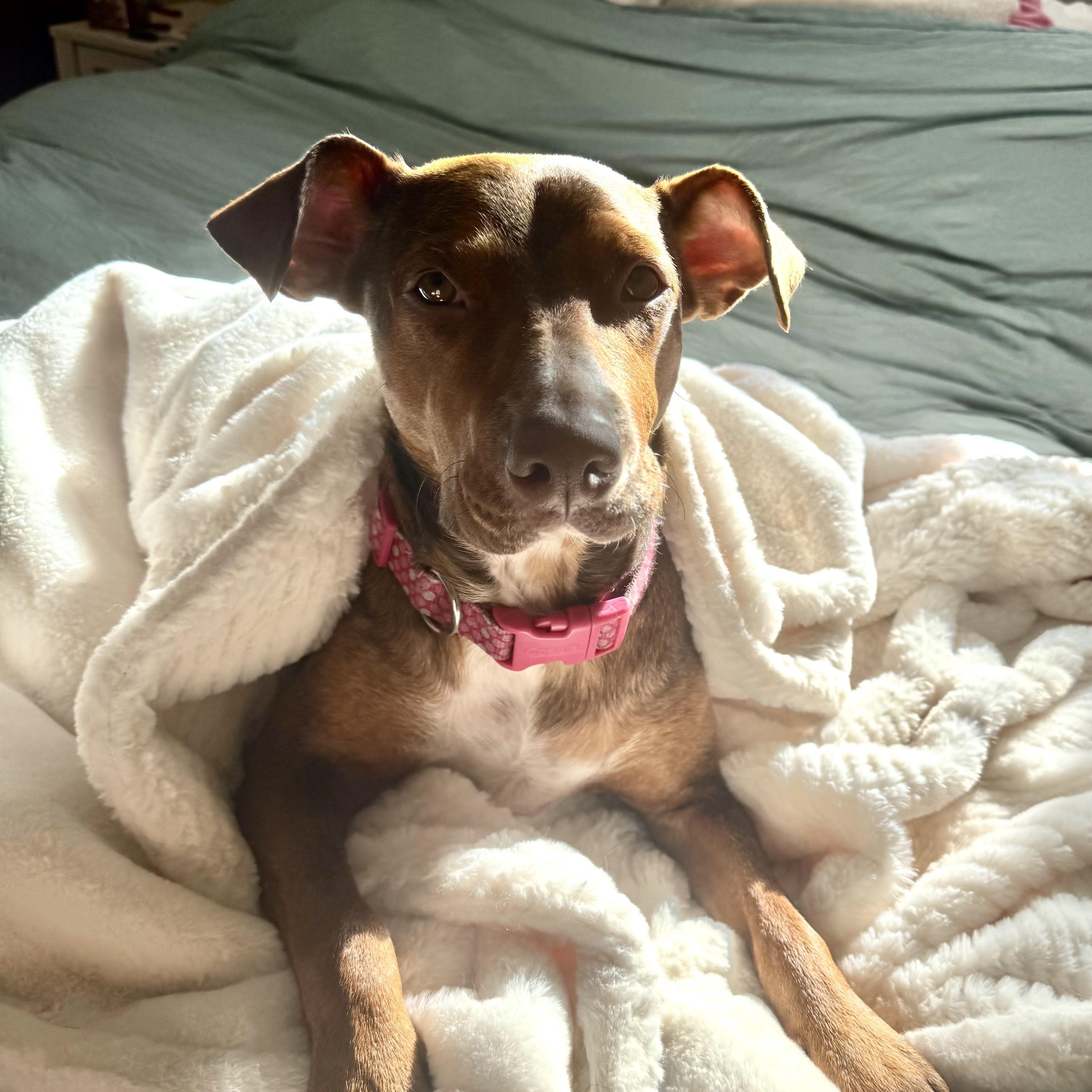 Tie Dye — thumbnail 5