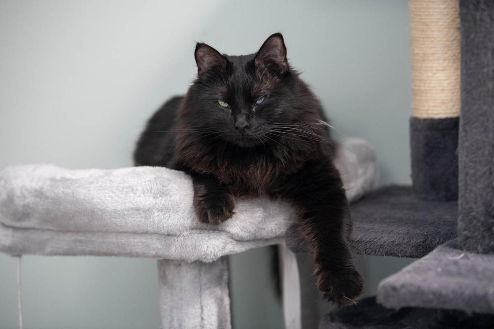 Trinity — thumbnail 5