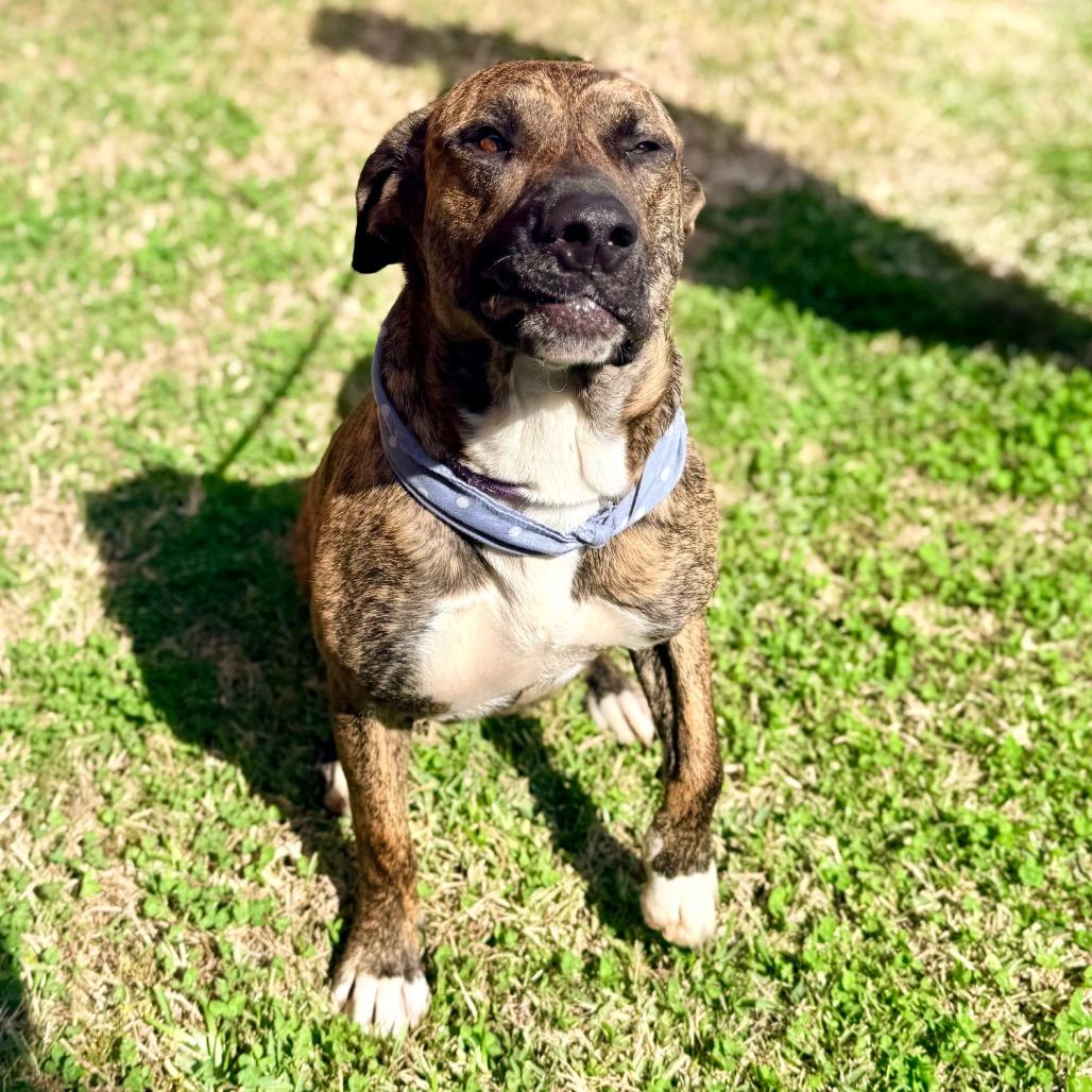 Jeep — thumbnail 5