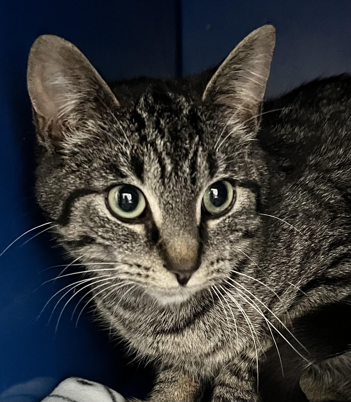 Tuna photo 1