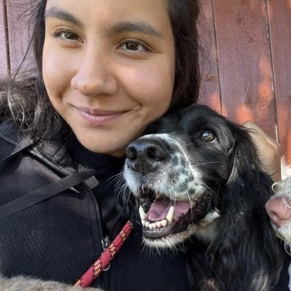 Enlarge Zara, a Adoptable mixed breed in Scarborough, ON image 5/6