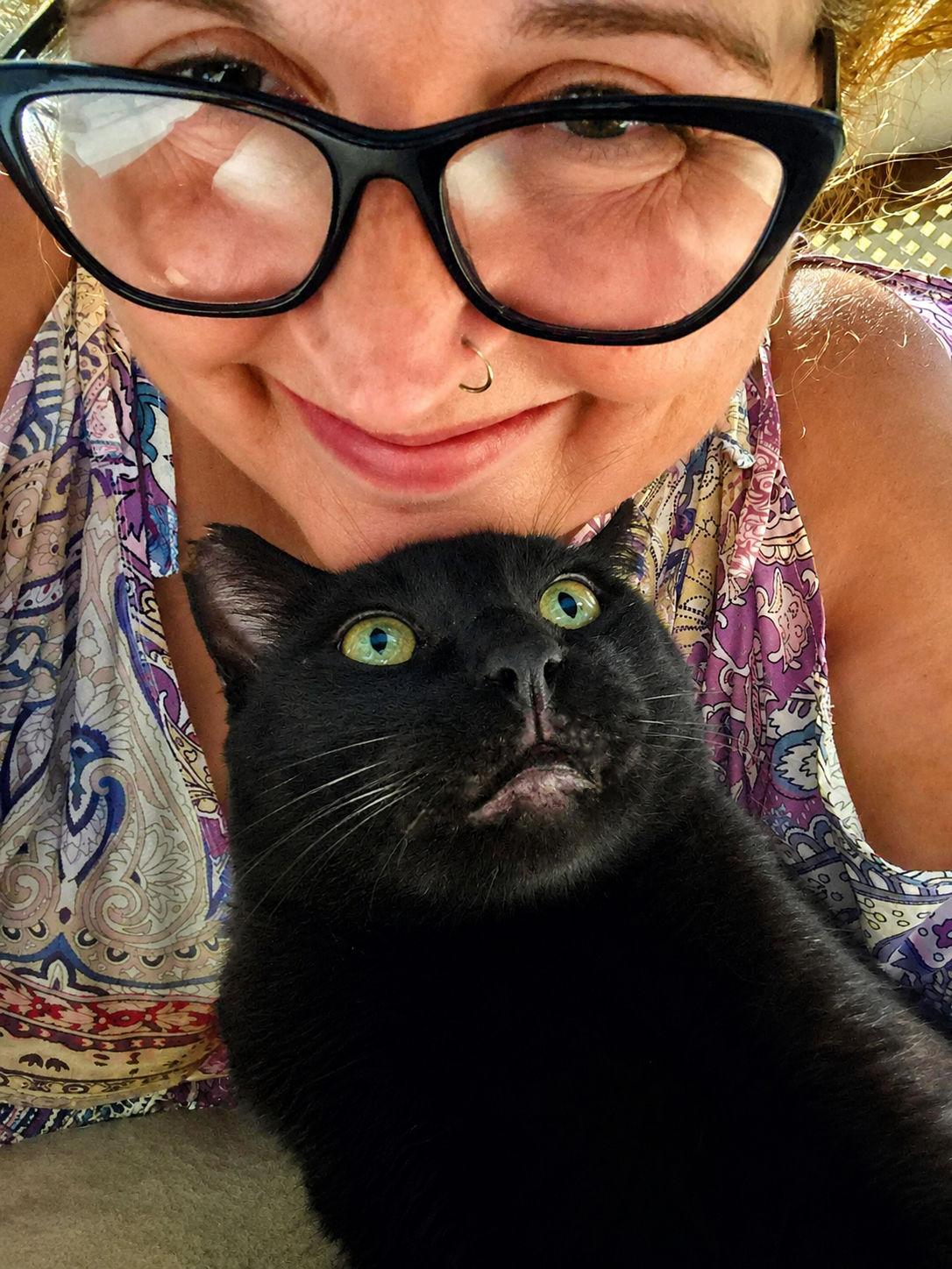 Nero, a Adoptable Domestic Short Hair in Sherman Oaks, CA image 2/6