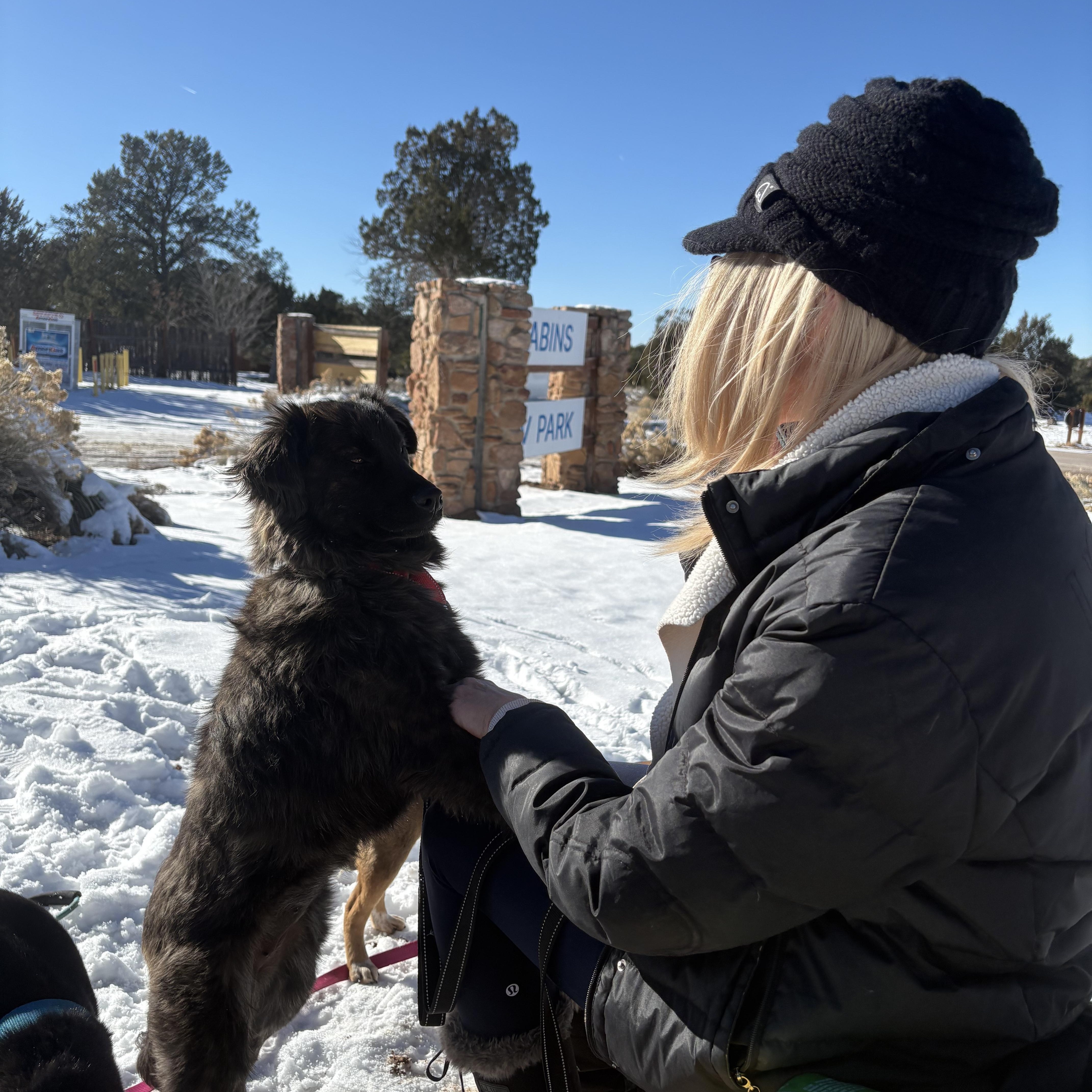 Enlarge Echo, an adopted mixed breed in Navajo, NM image 3/4