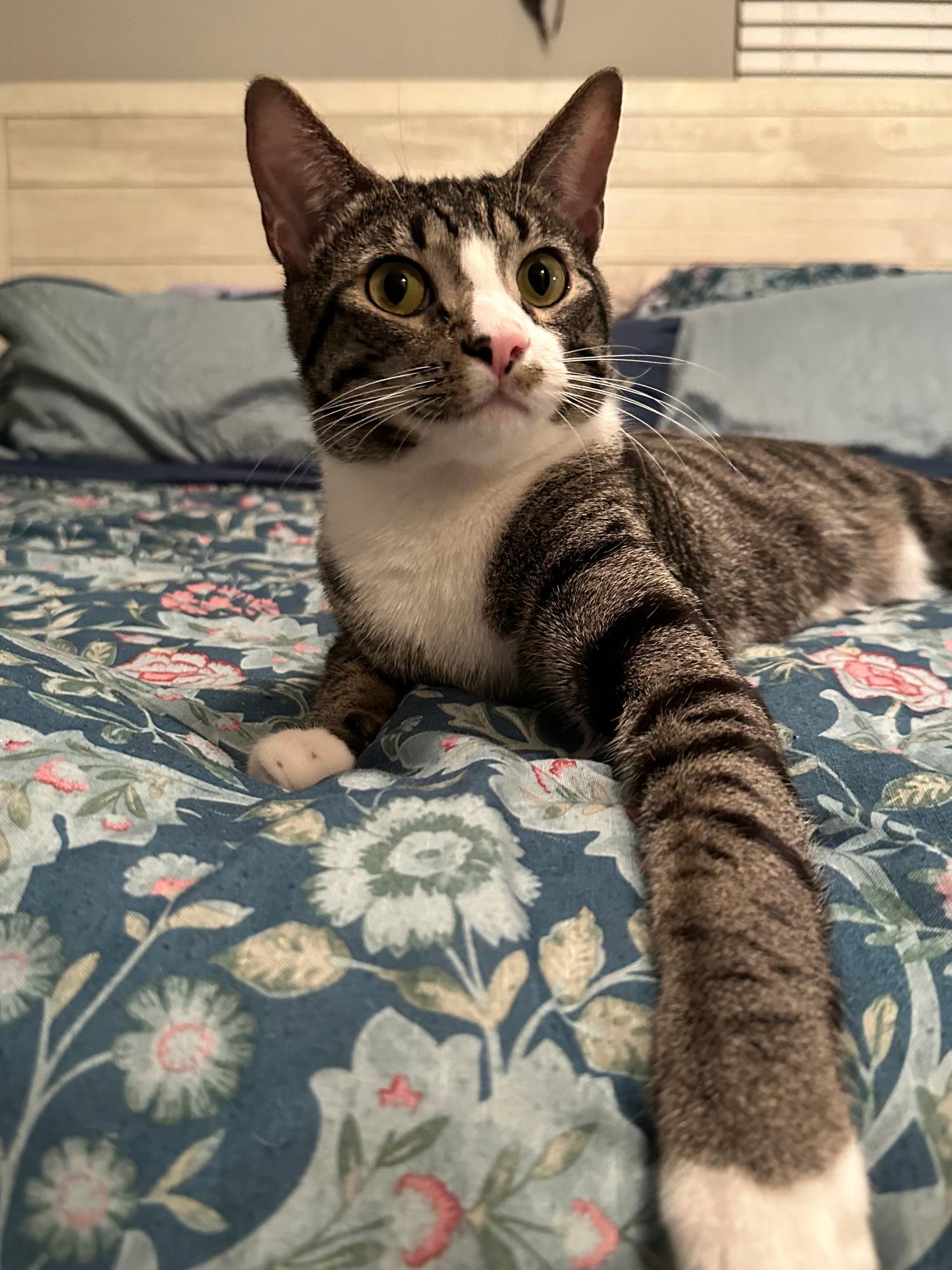 Kiki & Oliver