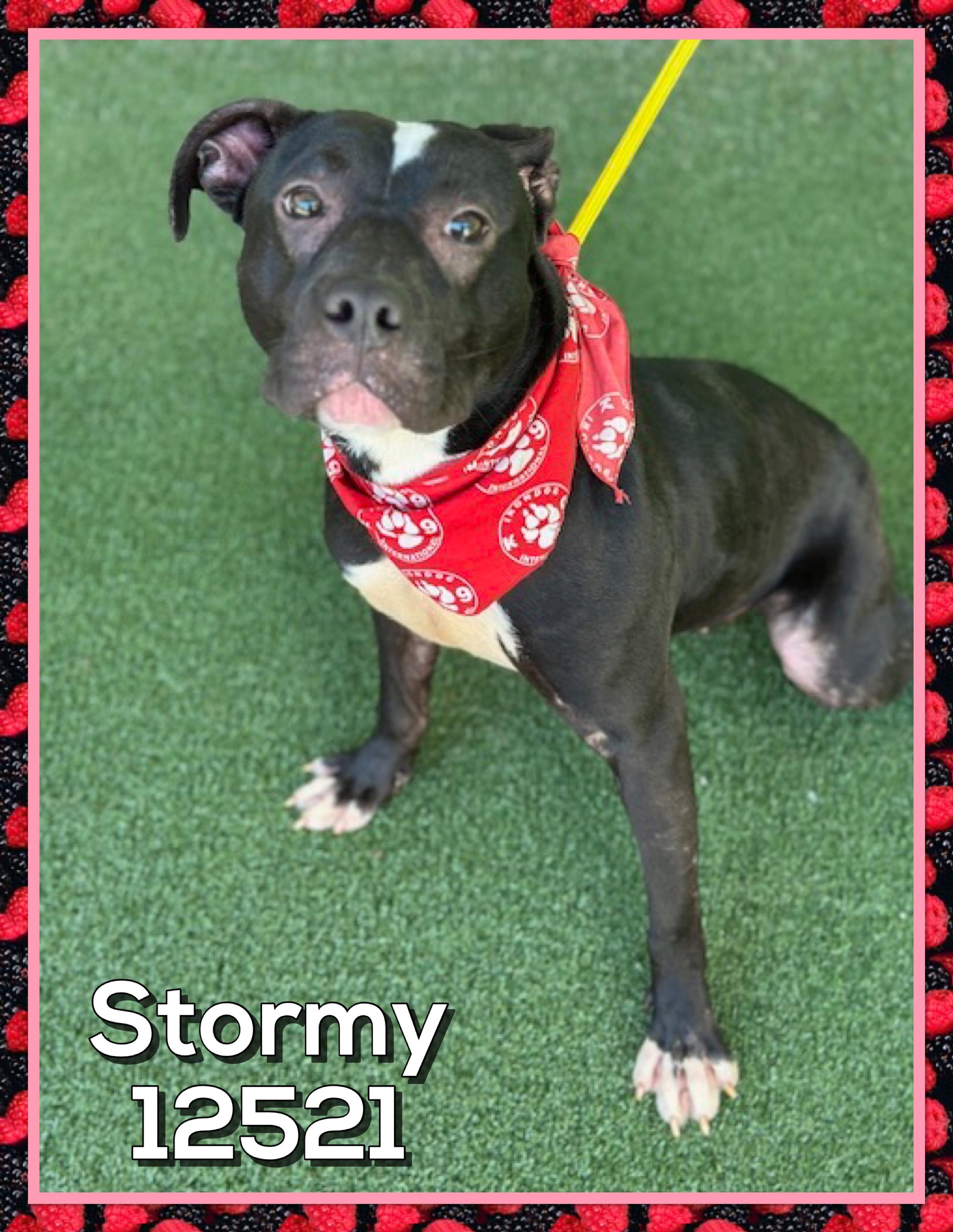 STORMY