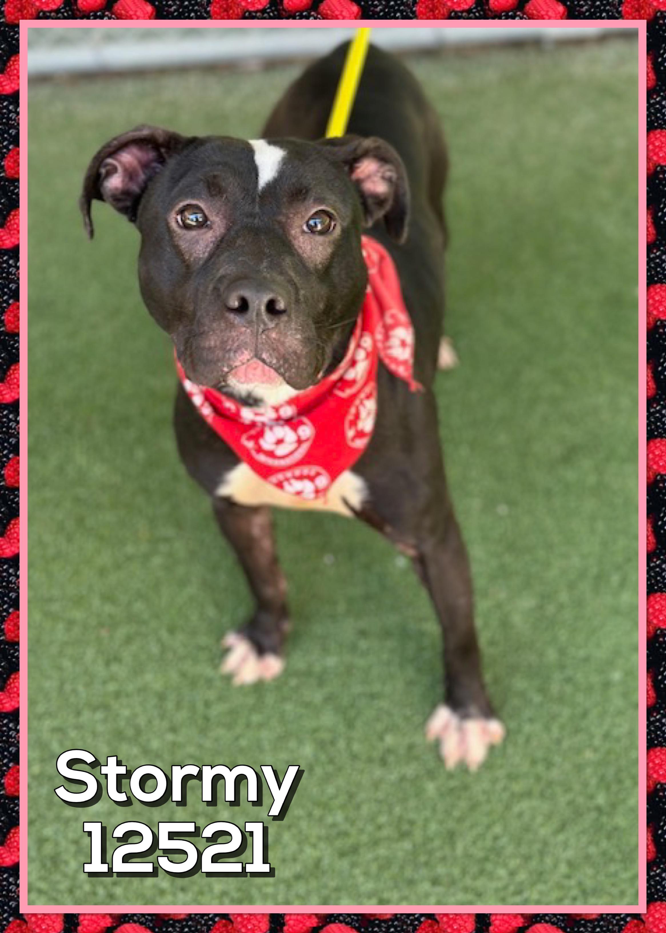 STORMY