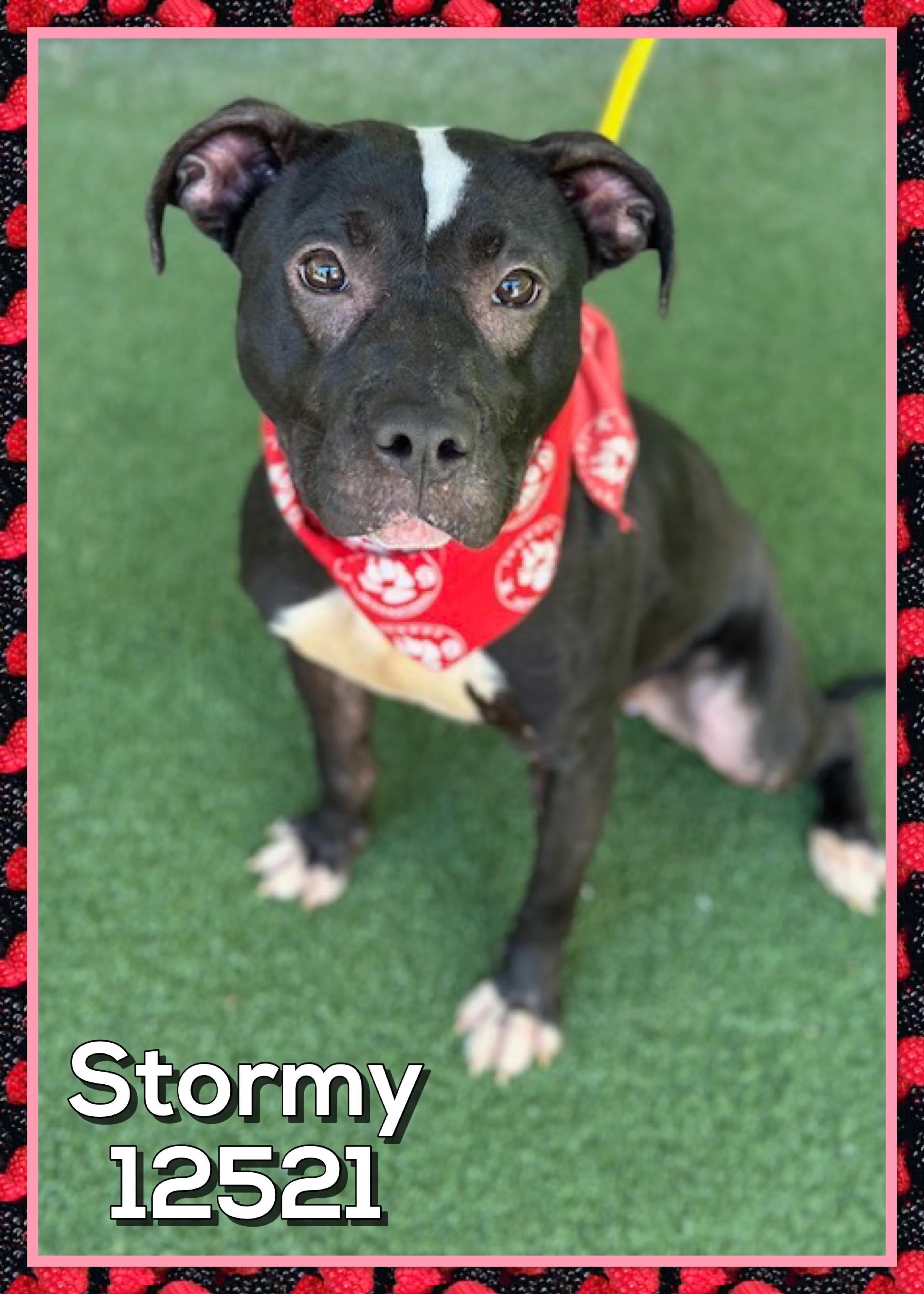 STORMY