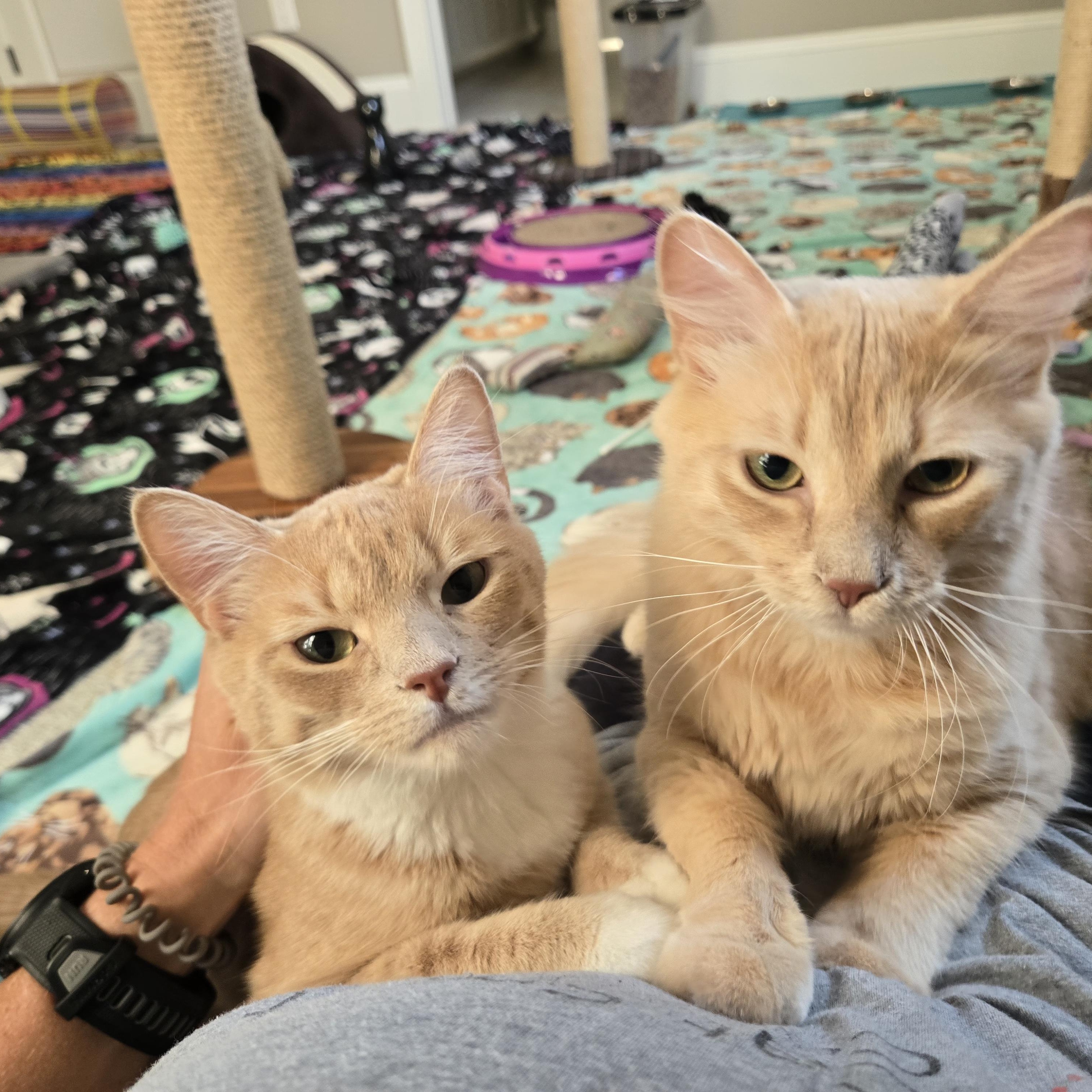 Ted & Truman photo