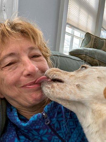 Snow White, a Adoptable mixed breed in Bedford Hills, NY image 4/4