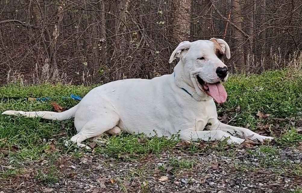 Gunnar