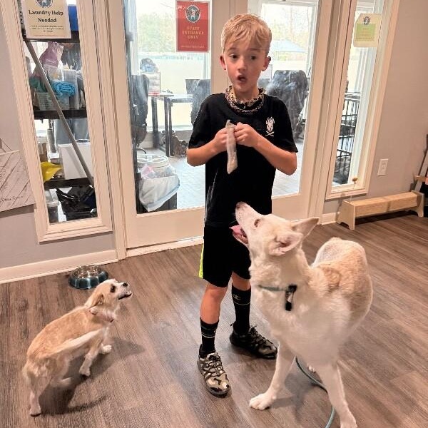 Bahama Mama Gives Gentle Hugs — thumbnail 2