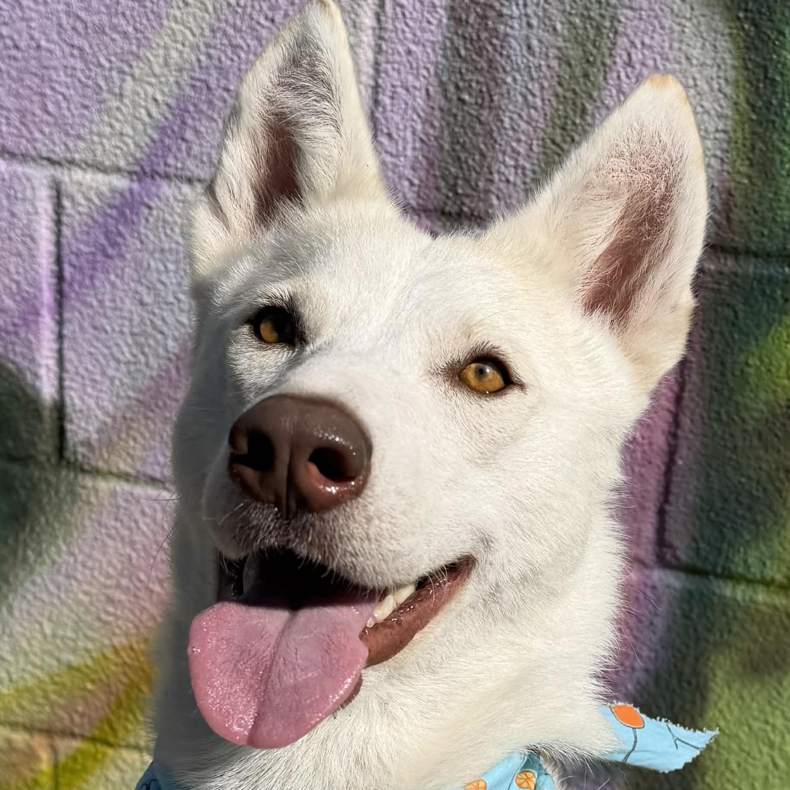 Bahama Mama Gives Gentle Hugs — thumbnail 4