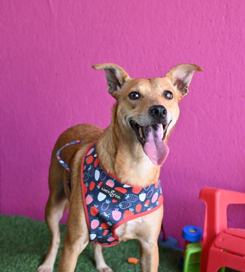 Marline — thumbnail 4