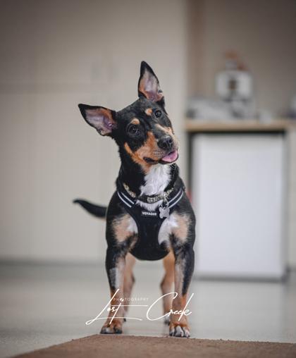 Freya — thumbnail 3