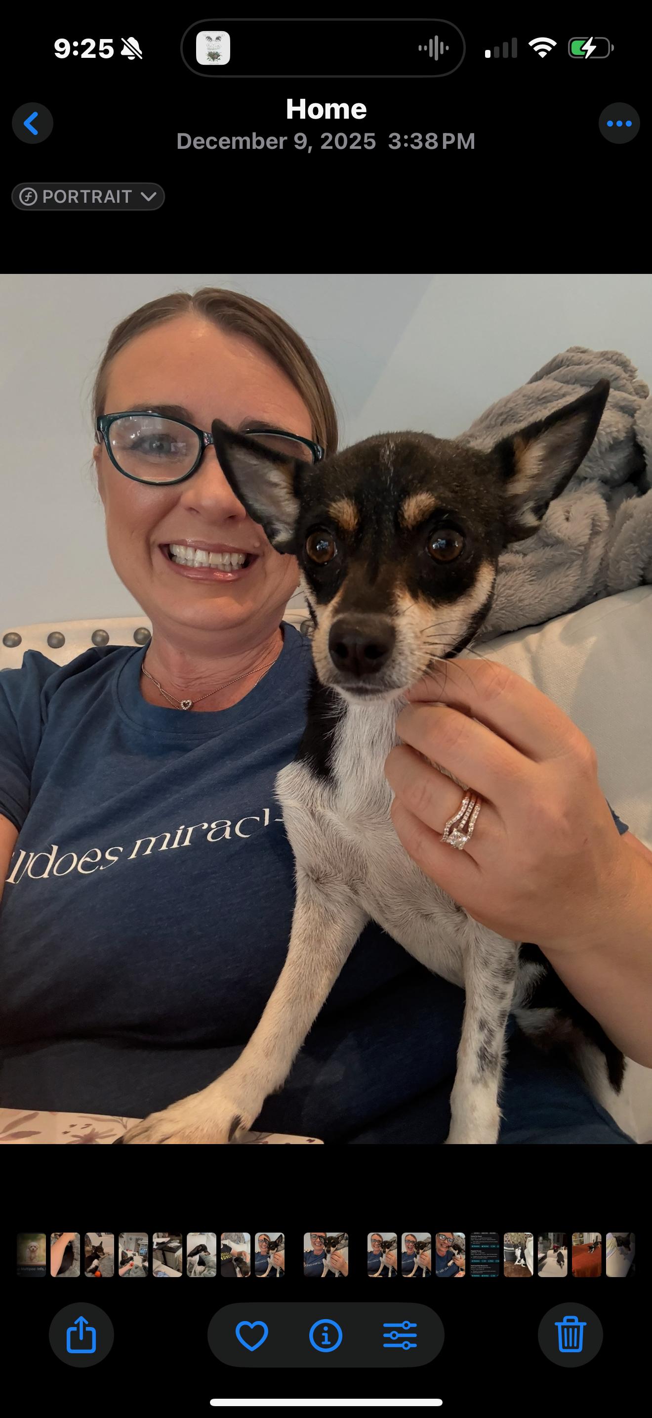 Enlarge Bunny, a Adoptable mixed breed in Phoenix, AZ image 3/5