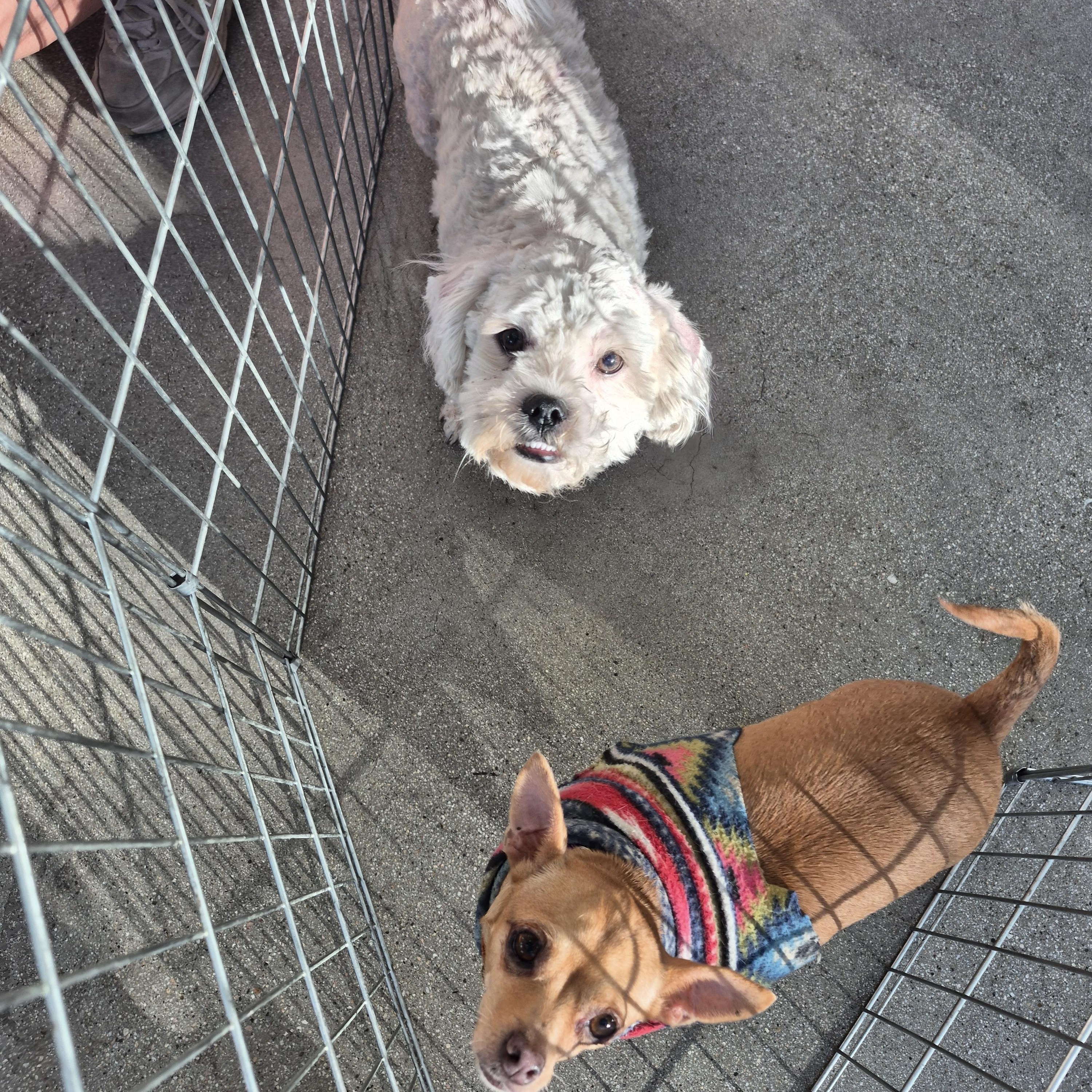 Mr Marty  Lucky thumbnail 3