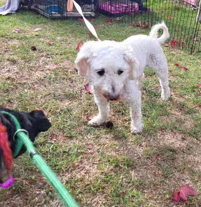 Mr Marty  Lucky thumbnail 4