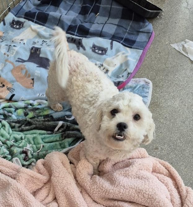 Mr Marty  Lucky thumbnail 5