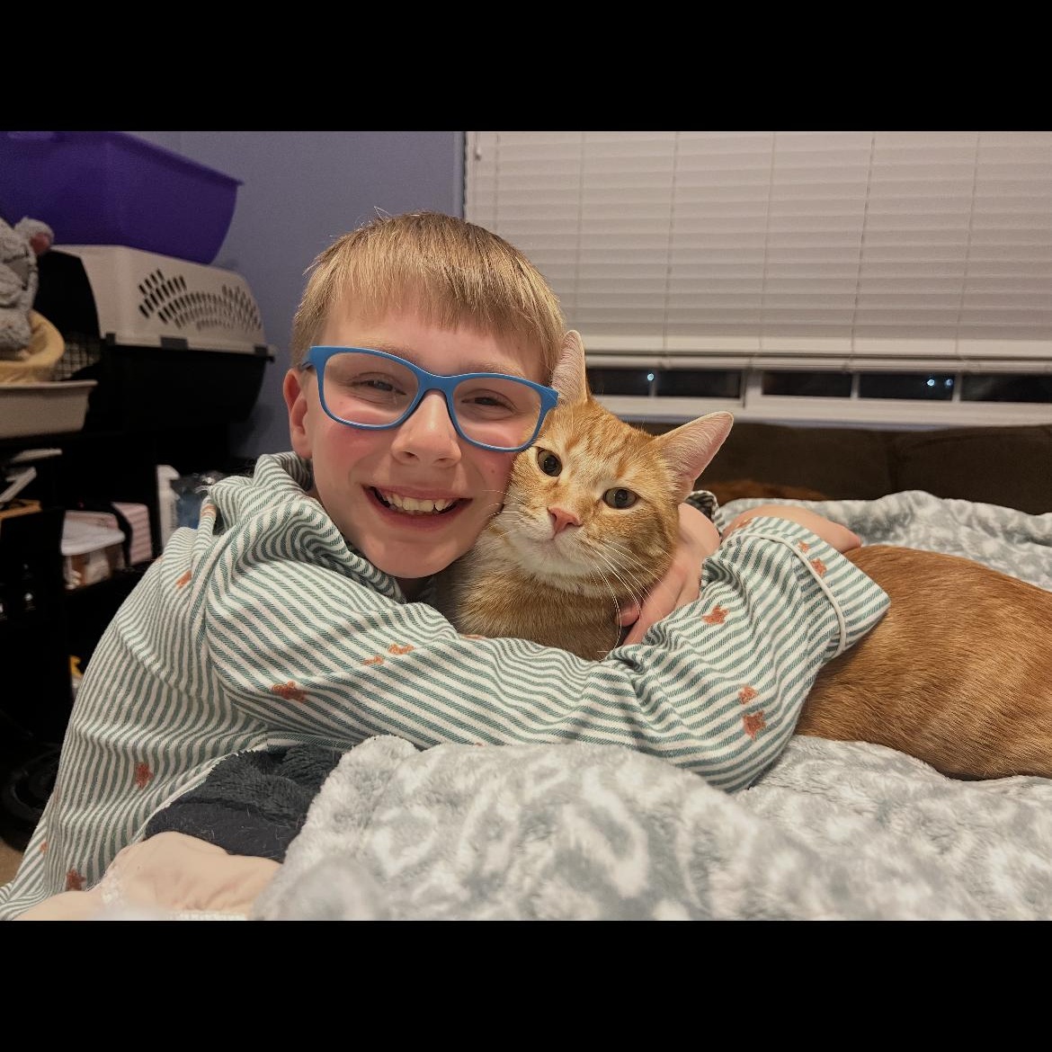 Enlarge Goose, an adoptable mixed breed in Omaha, NE image 5/6