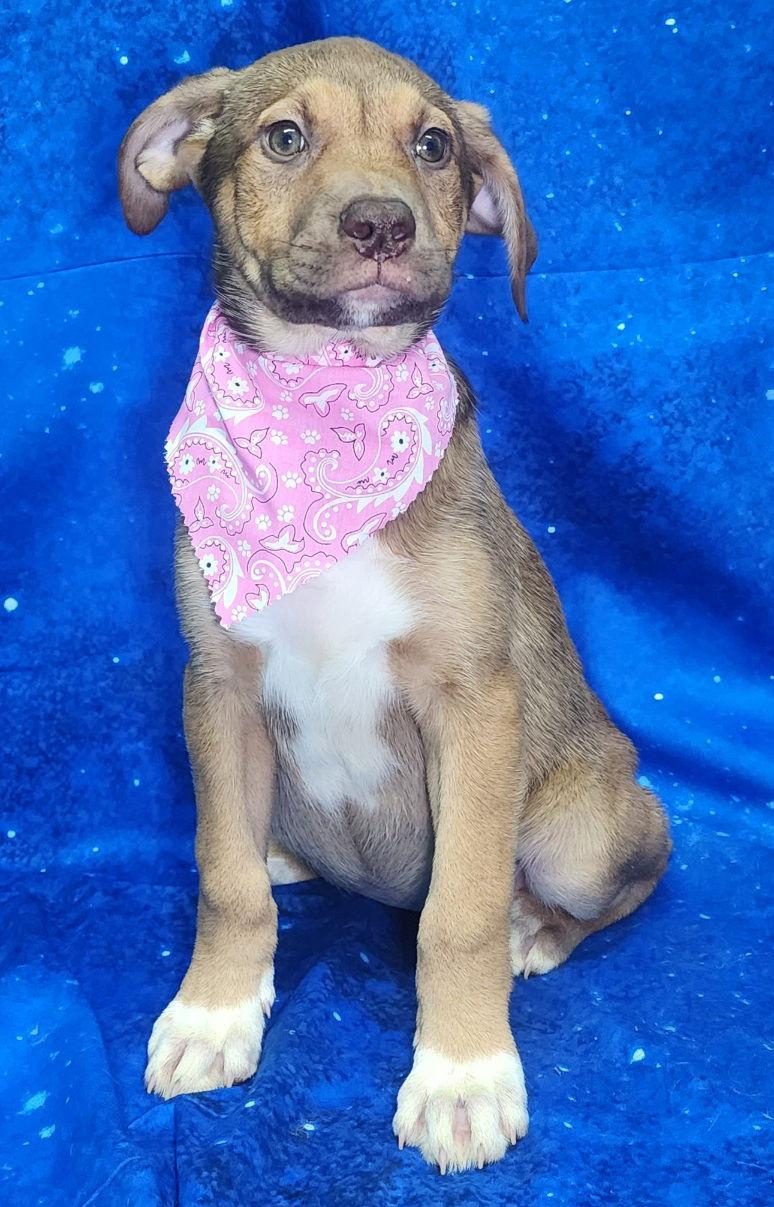 260304 Nose Marie — thumbnail 2