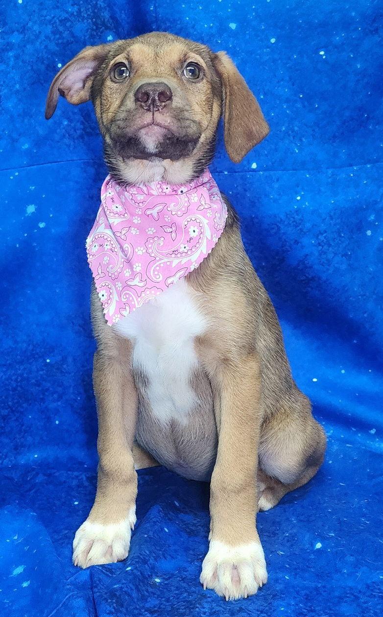 260304 Nose Marie — thumbnail 3