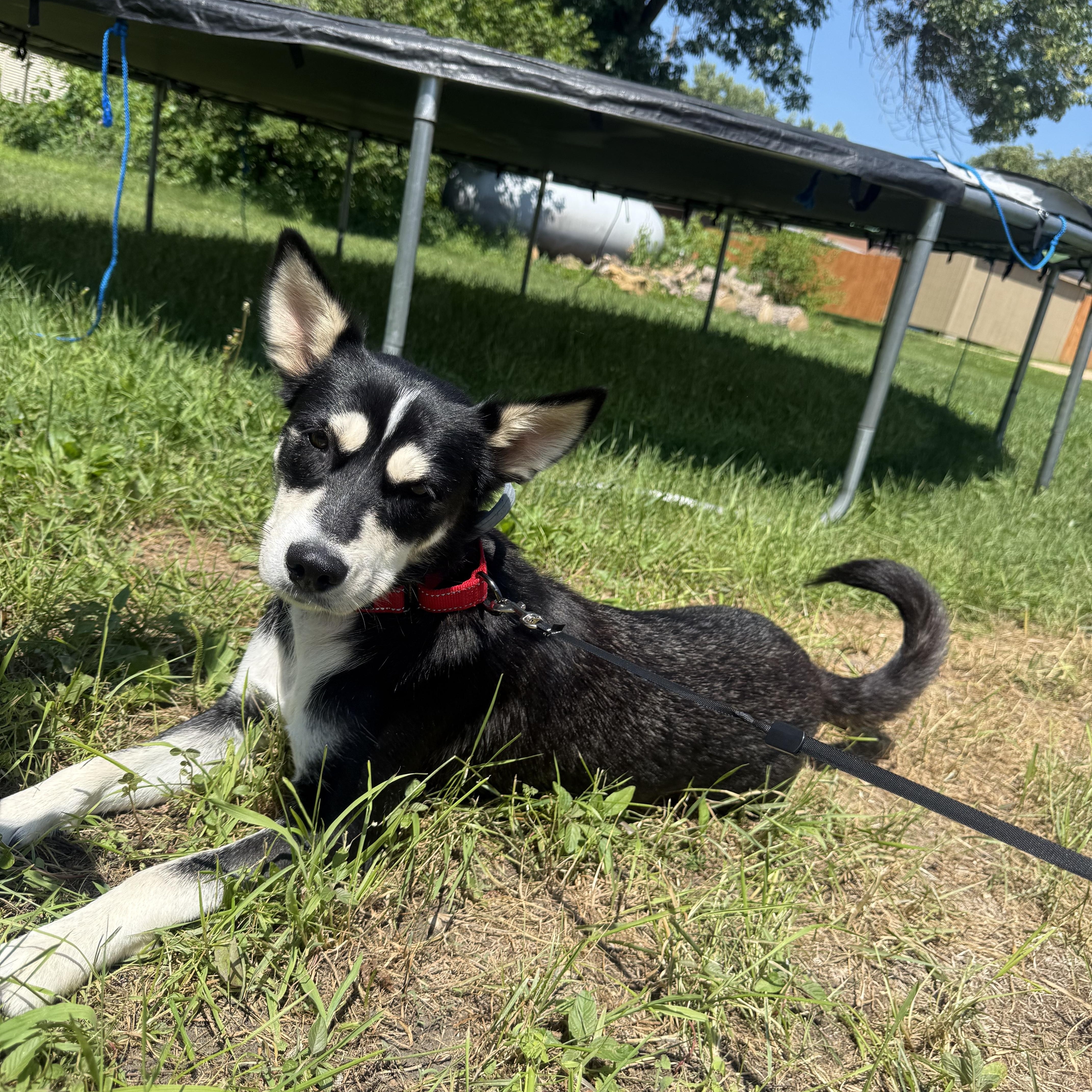 Evie photo 1