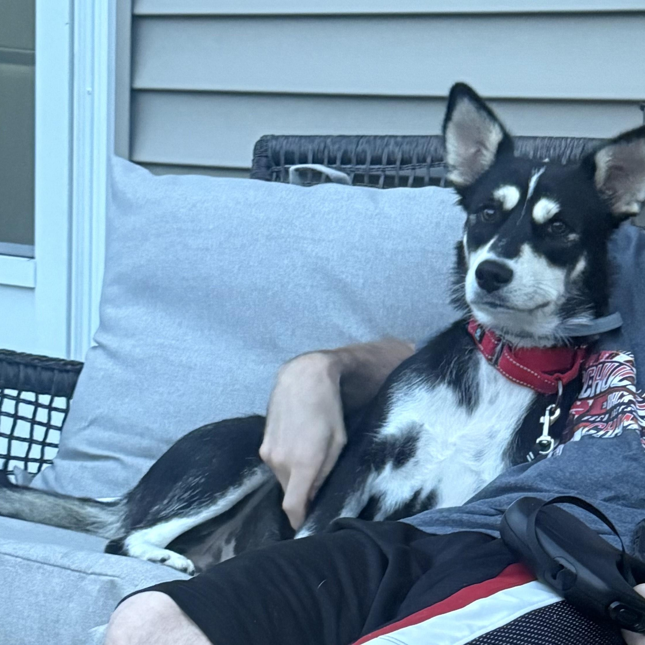 Evie thumbnail 6