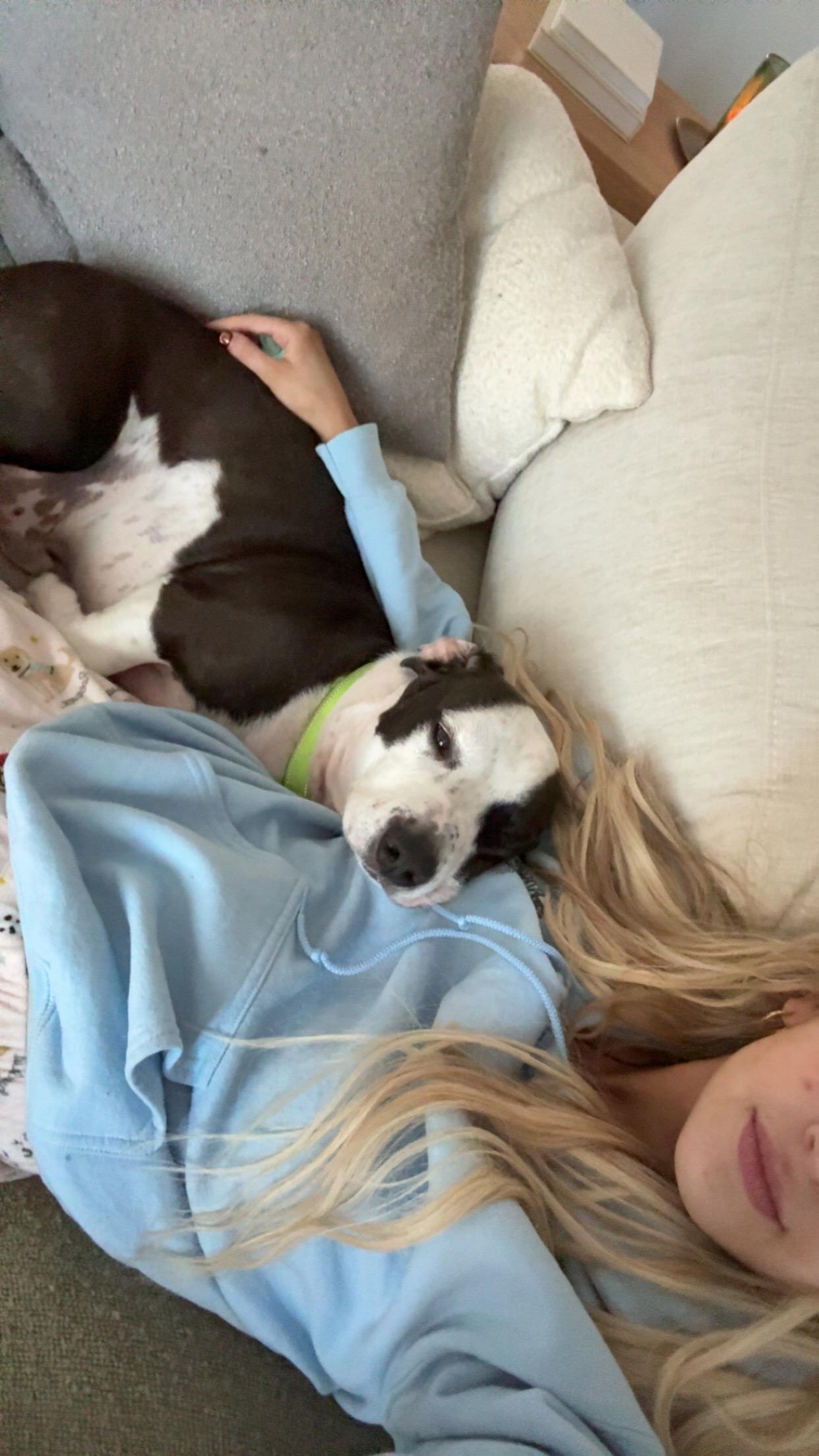 Axle, a Adoptable mixed breed in MYRTLE BEACH, SC image 2/2