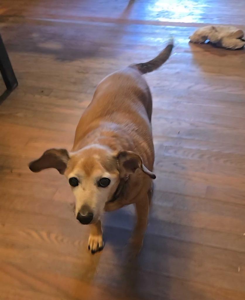 Vida Boheme — thumbnail 2