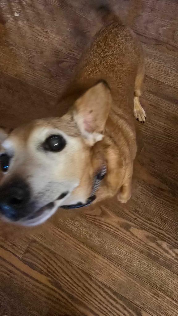 Vida Boheme — thumbnail 4