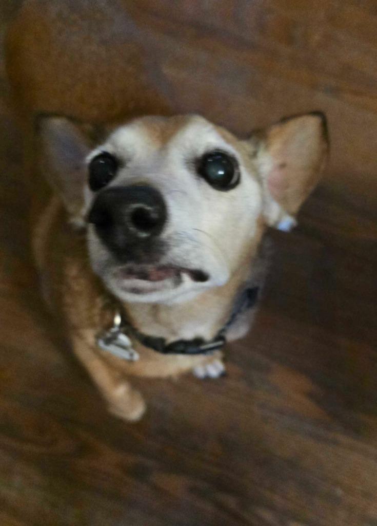 Vida Boheme — thumbnail 6