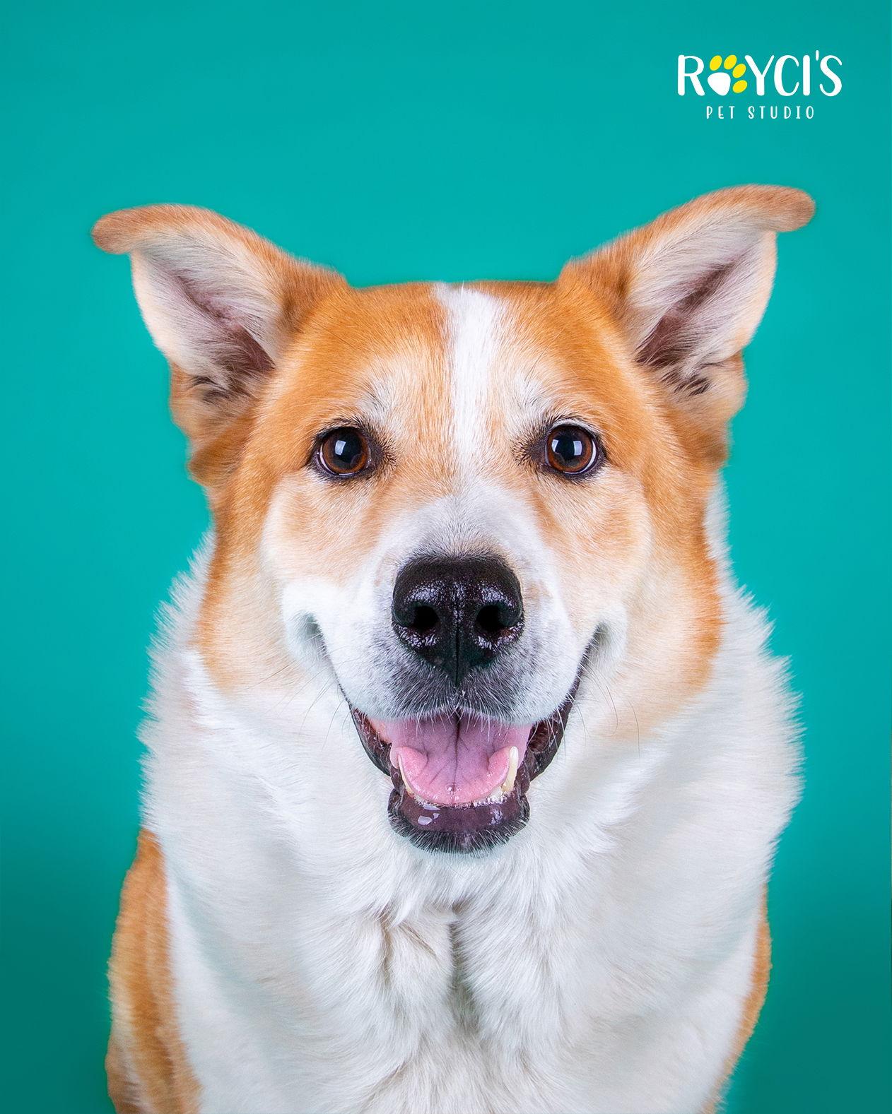 Flopsy Pants — thumbnail 2