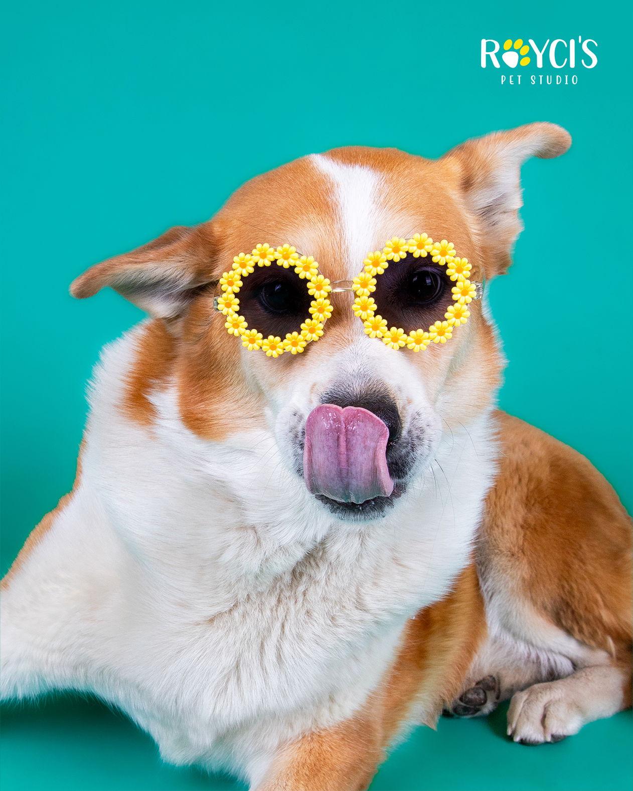 Flopsy Pants — thumbnail 3